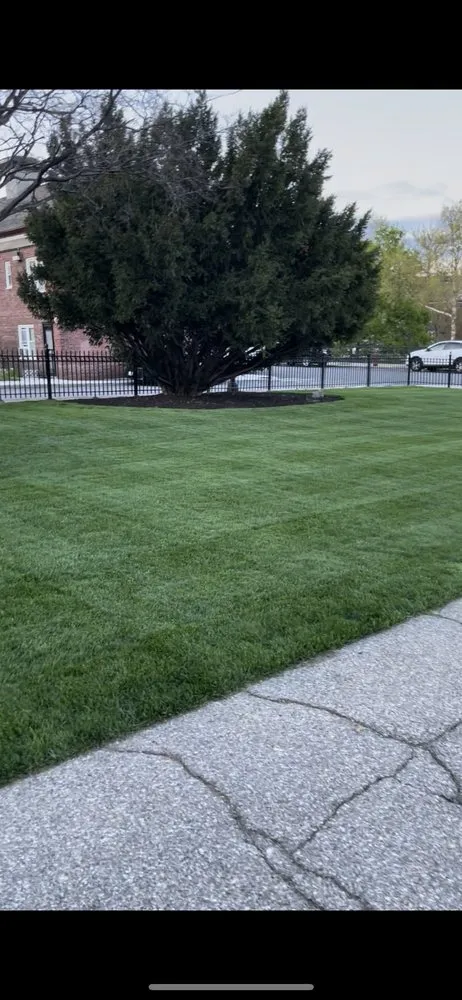 Custom yard cleanup service in Lowell, MA by St Patrick Landscaping