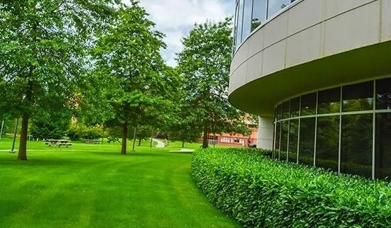 Professional residential landscaping for year-round maintenance across Jackson, TN - St Patrick's Landscaping