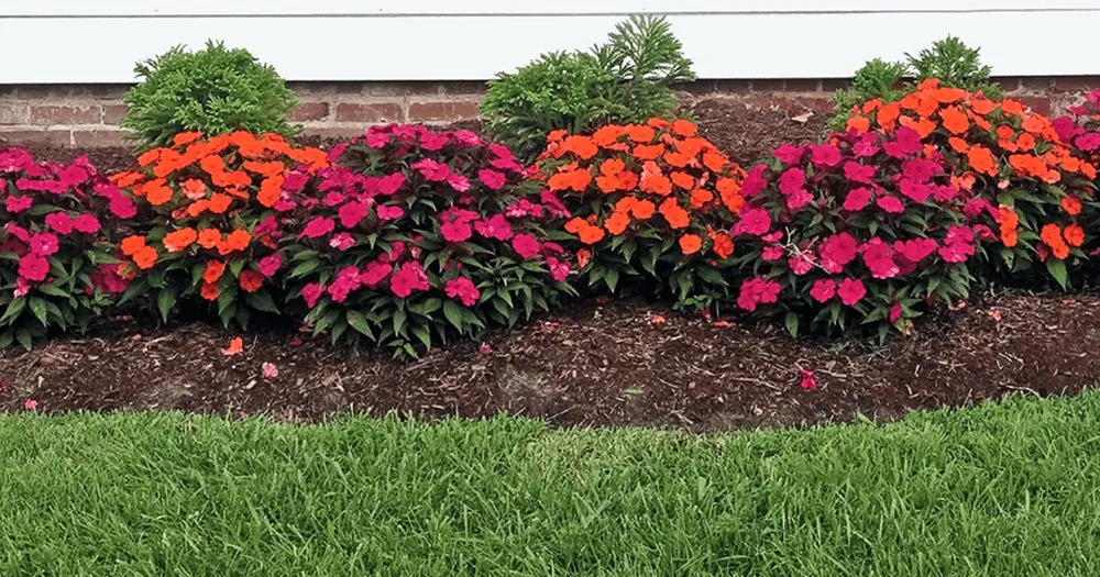 Expert landscaping services experts serving Jackson, TN - St Patrick's Landscaping