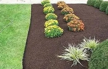 Affordable lawn care service in Jackson, TN - St Patrick's Landscaping