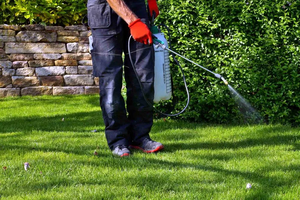 Top-rated yard maintenance near you in Jackson, TN by St Patrick's Landscaping