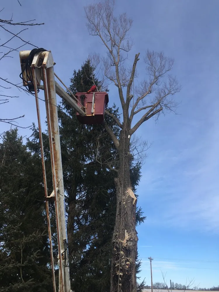 Affordable lawn care service for homes in Holdingford, MN by St. Stephen Tree & Steam