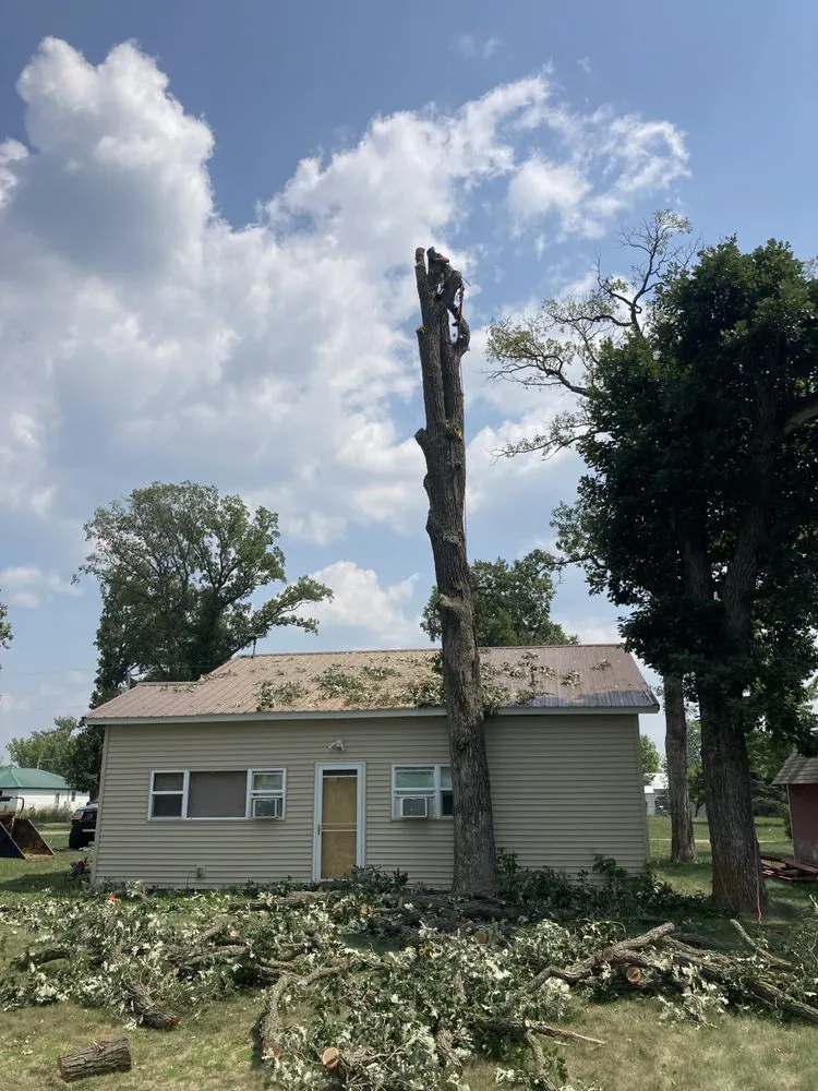 Local landscape design in Holdingford, MN - St. Stephen Tree & Steam