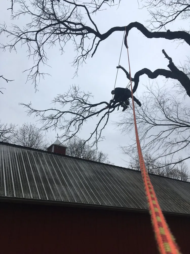 Trusted yard maintenance experts serving Holdingford, MN - St. Stephen Tree & Steam