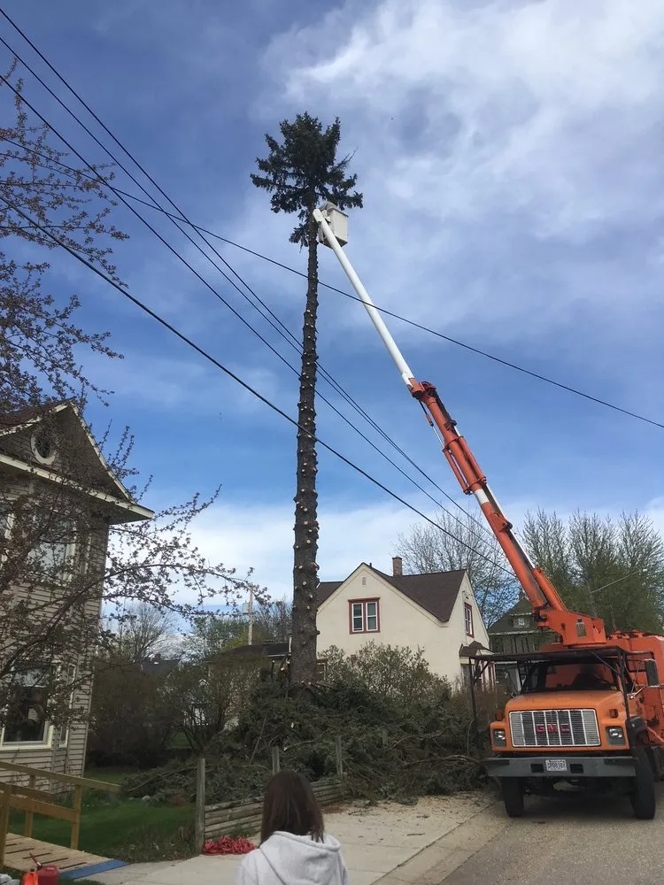 Expert landscape installation near you in Holdingford, MN by St. Stephen Tree & Steam