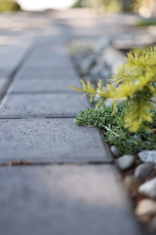 Local yard cleanup service experts serving Lynnwood, WA - Sta-Built Construction