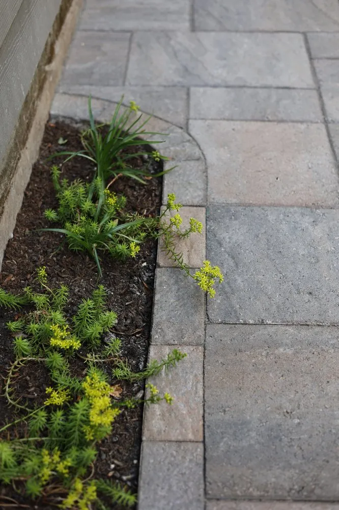 Reliable yard maintenance experts serving Lynnwood, WA - Sta-Built Construction