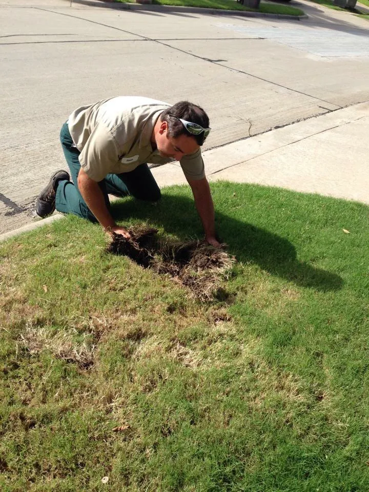 Custom outdoor landscaping in Rowlett, TX - Sta-Green Lawn Care