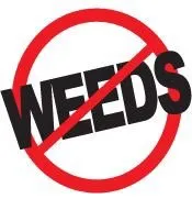 Local yard maintenance experts serving Rowlett, TX - Sta-Green Lawn Care