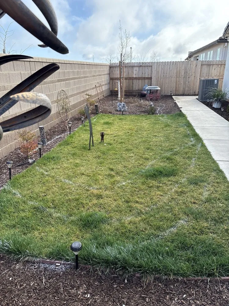 Expert residential landscaping in Roseville, CA - Stableroot Landscape Construction