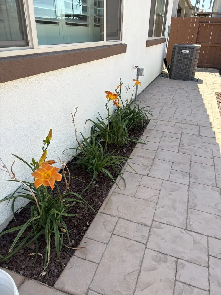 Reliable landscaping services in Roseville, CA - Stableroot Landscape Construction