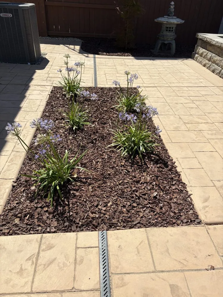 Trusted lawn mowing service in Roseville, CA - Stableroot Landscape Construction