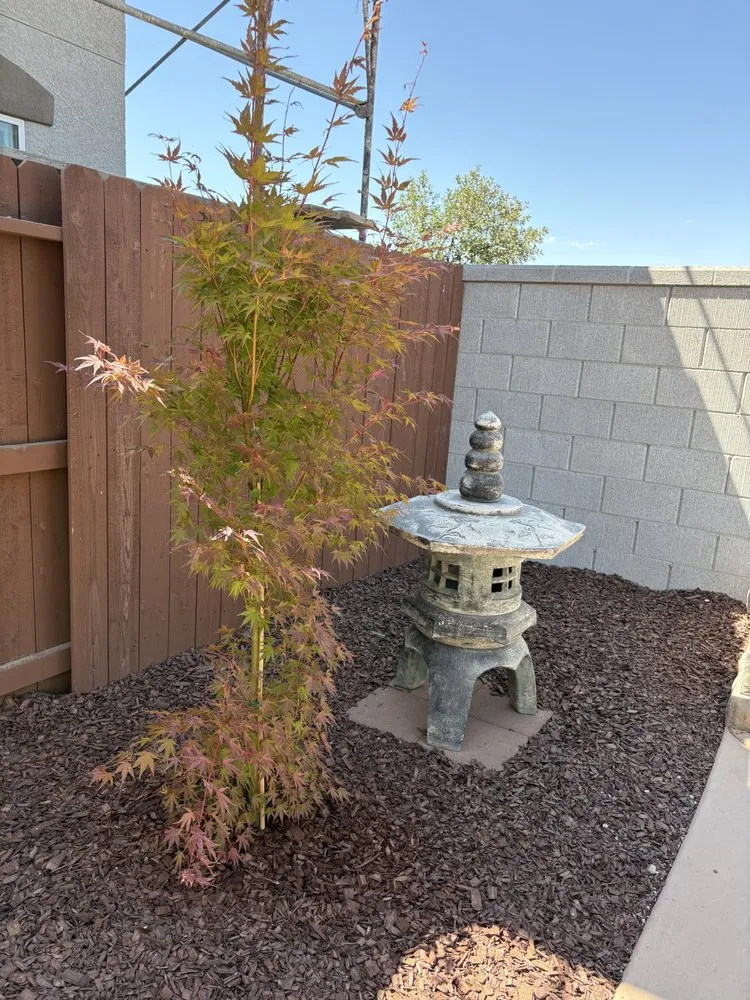 Top-rated landscaping services experts serving Roseville, CA - Stableroot Landscape Construction
