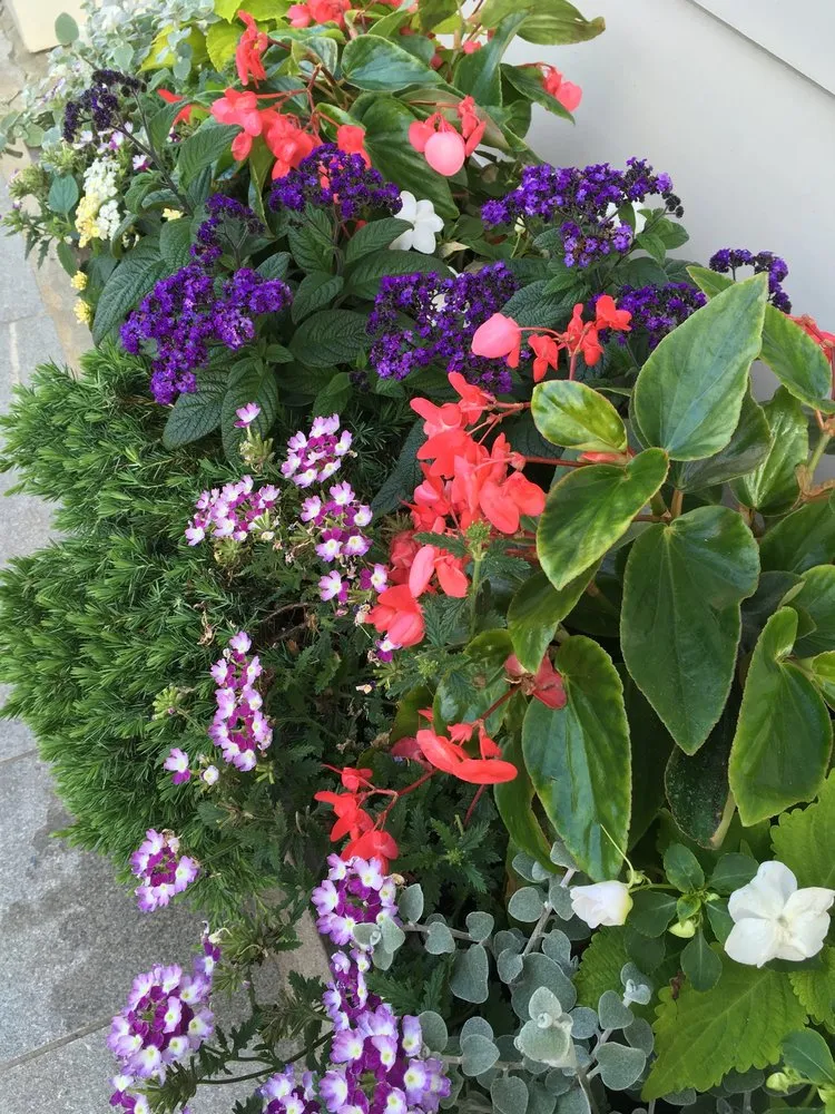 Professional yard maintenance experts serving West Hartford, CT - Stabnick Landscape Design