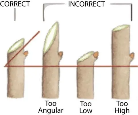 Custom lawn mowing service experts serving West Hartford, CT - Stabnick Landscape Design