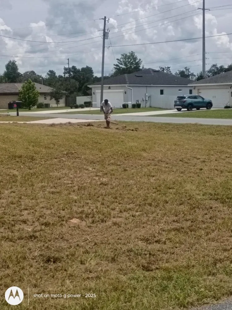 Trusted lawn care service for outdoor upgrades in Ocala, FL by Stacey Harris Jr