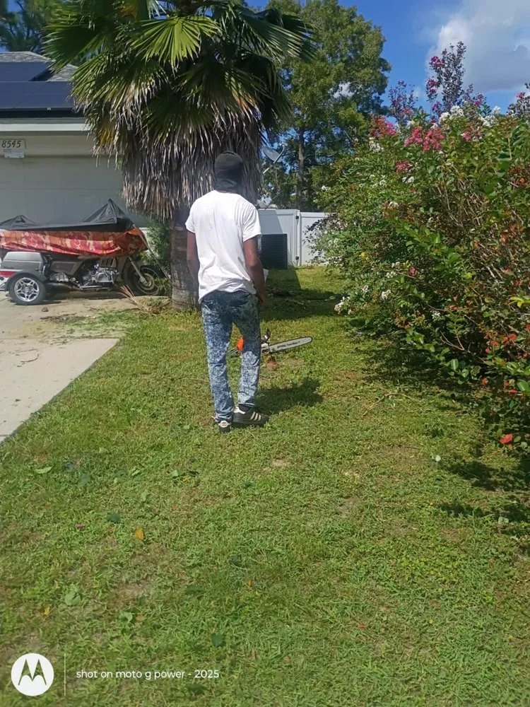 Reliable landscape installation in Ocala, FL by Stacey Harris Jr