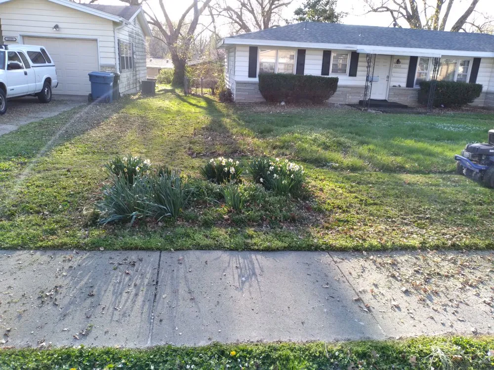 Local outdoor landscaping in Springfield, MO by Staceys Junk Removal & Lawn Care
