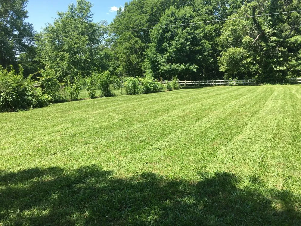 Expert yard cleanup service experts serving Springfield, MO - Staceys Junk Removal & Lawn Care