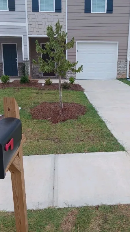 Top-rated residential landscaping near you across Warner Robins, GA - Stack Lawn Care