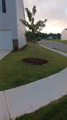 Stack Lawn Care Logo