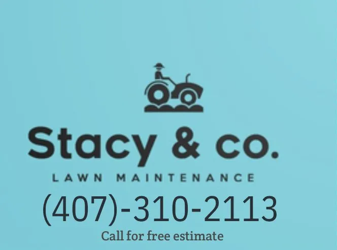 Top-rated lawn mowing service experts serving Knoxville, TN - Stacy & co. Lawn care