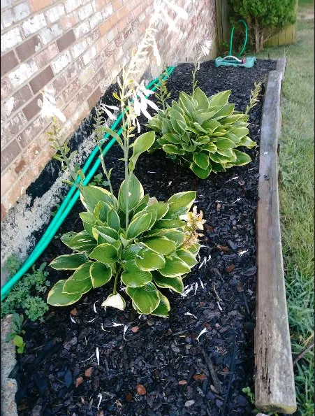 Top-rated residential landscaping for beautiful yards in Stafford, VA by Stafford Home Projects