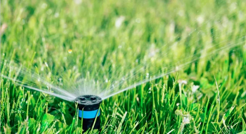 Affordable yard cleanup service experts serving Stafford, VA - Stafford Home Projects