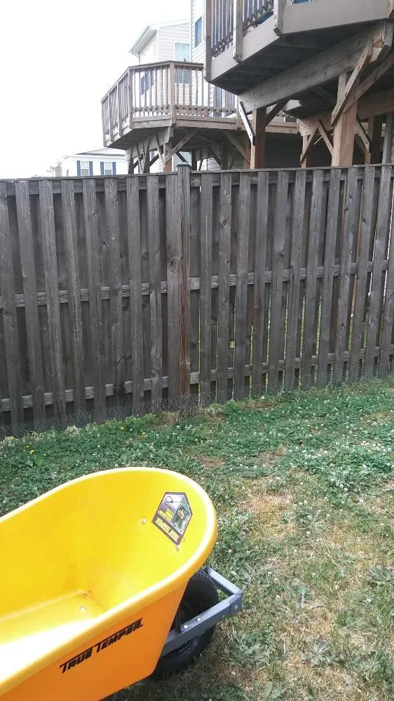 Professional yard cleanup service for homes in Stafford, VA by Stafford Home Projects