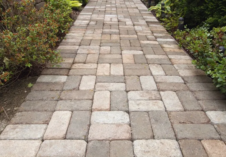 Affordable lawn care service near you across Stafford, VA - Stafford Home Projects