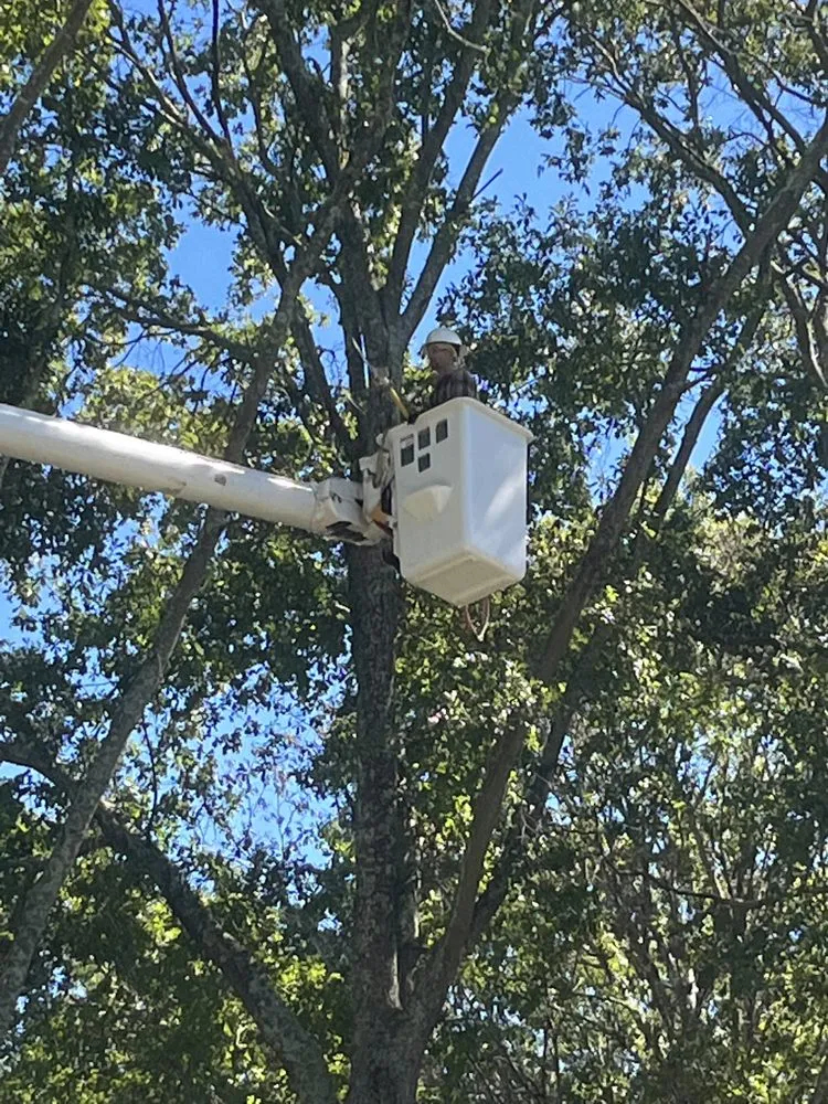 Reliable outdoor landscaping experts serving Douglasville, GA - Stafford Landscaping