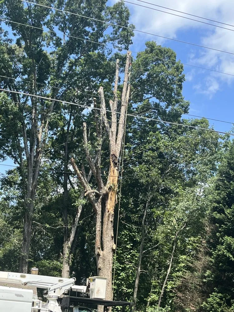 Custom garden landscaping in Douglasville, GA - Stafford Landscaping