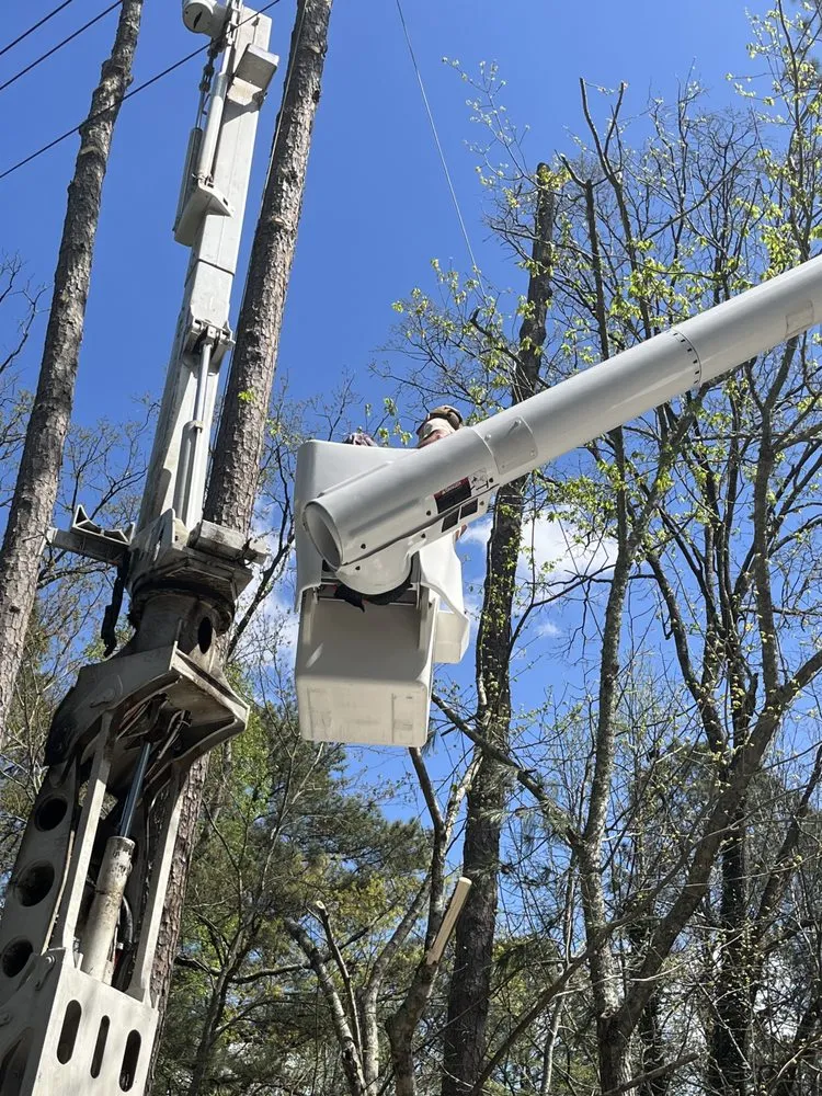 Affordable landscape design with custom design across Douglasville, GA - Stafford Landscaping