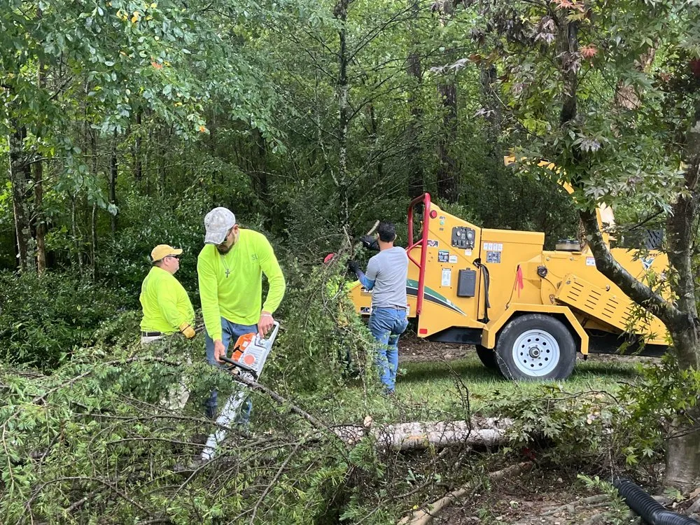 Affordable yard cleanup service experts serving Douglasville, GA - Stafford Landscaping