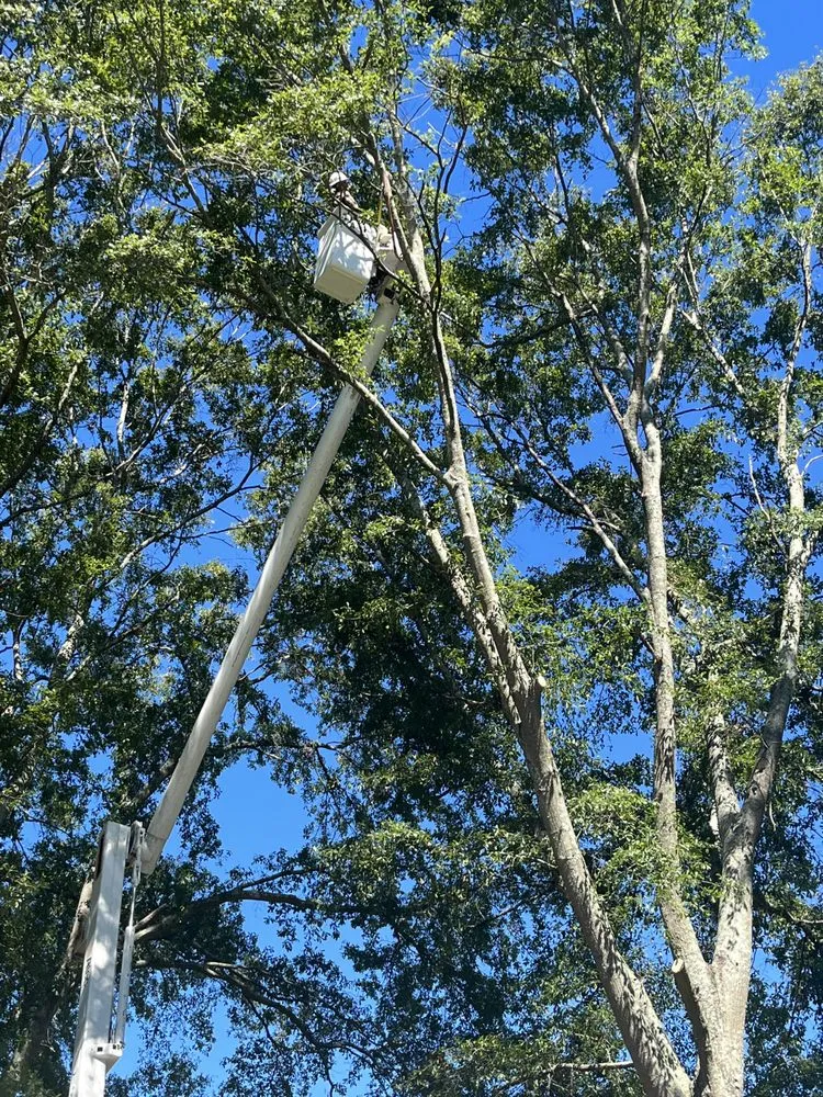 Custom residential landscaping in Douglasville, GA by Stafford Landscaping