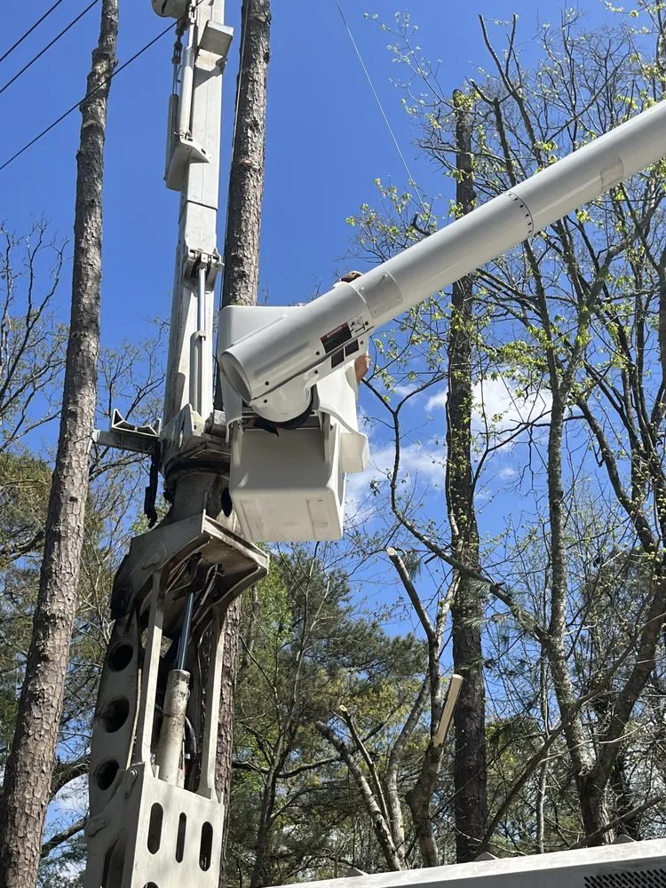 Professional residential landscaping for homes in Douglasville, GA by Stafford Landscaping