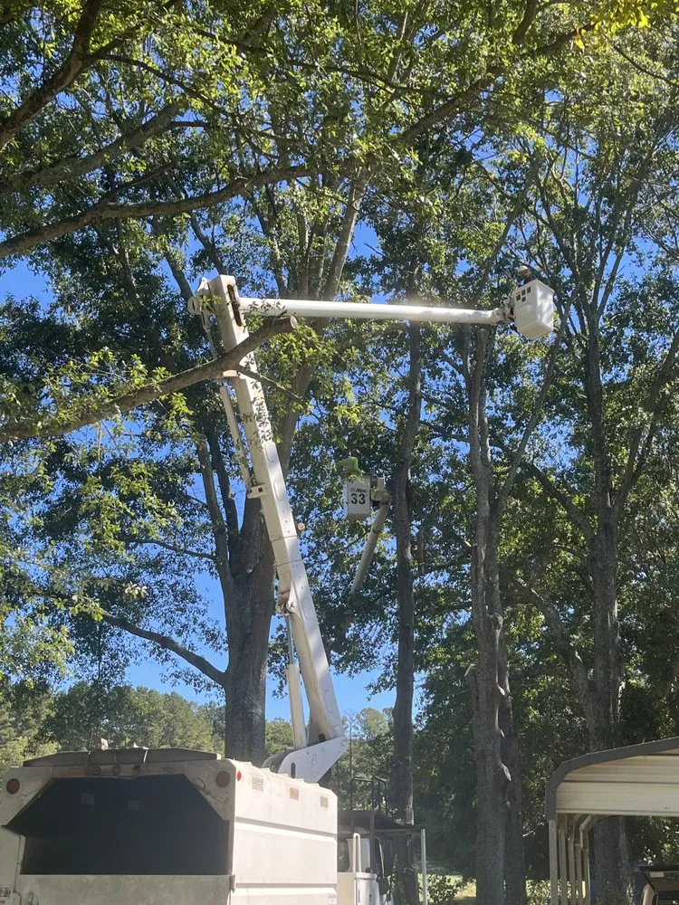 Top-rated landscape installation in Douglasville, GA - Stafford Landscaping