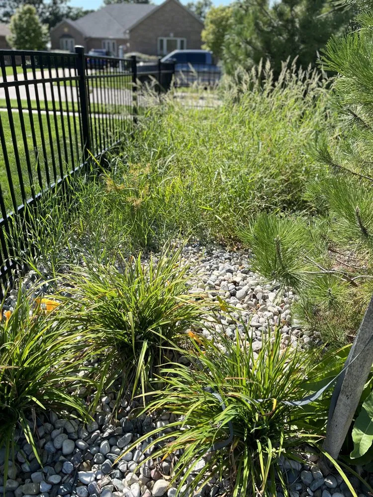 Expert landscape installation experts serving Memphis, MI - Stafford Landscaping