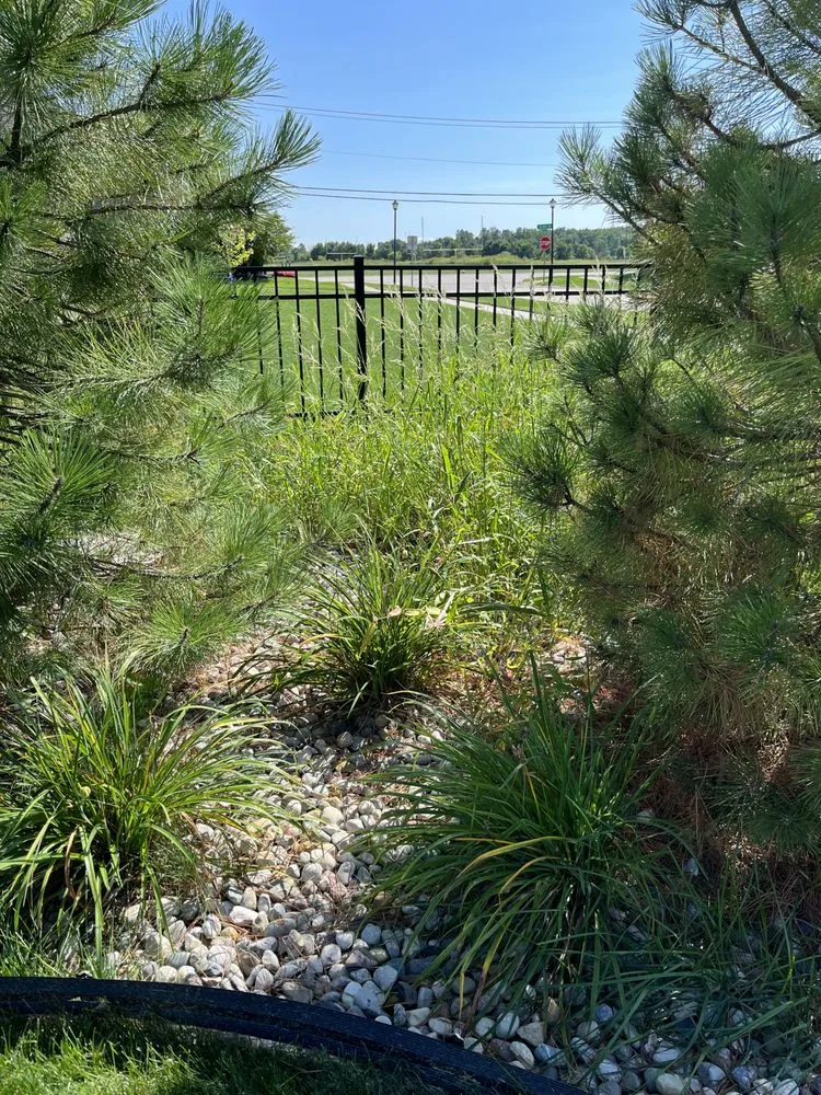 Local outdoor landscaping for residential properties in Memphis, MI by Stafford Landscaping