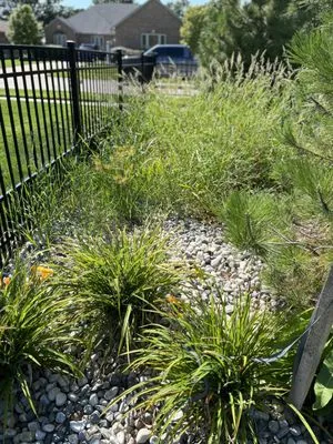 Stafford Landscaping