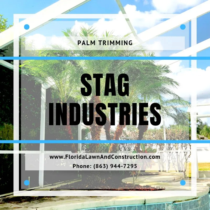 Custom residential landscaping experts serving Lakeland, FL - Stag Industries