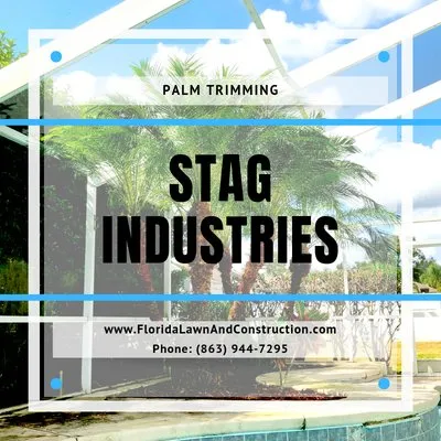 Stag Industries Logo