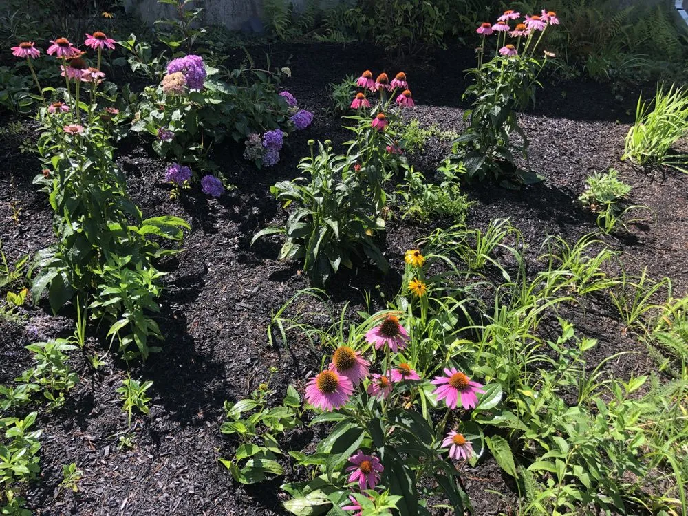 Professional outdoor landscaping for homes across Nottingham, NH - Stage Road Gardens