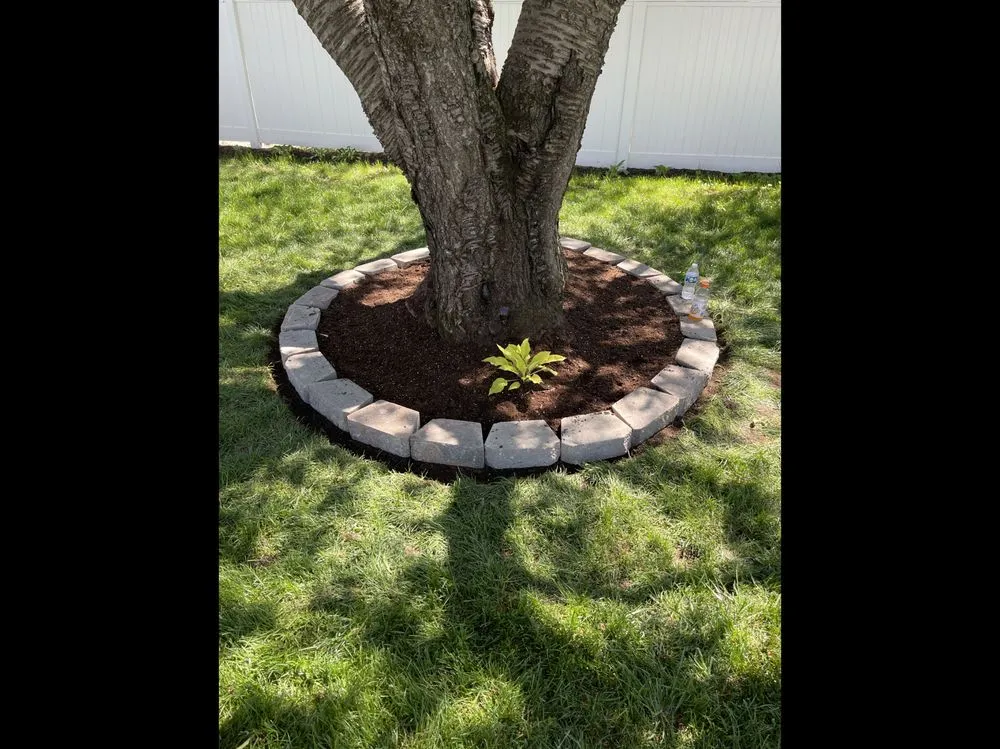 Expert yard maintenance in Grove City, OH - Stage’s Lawn and Landscape of Ohio