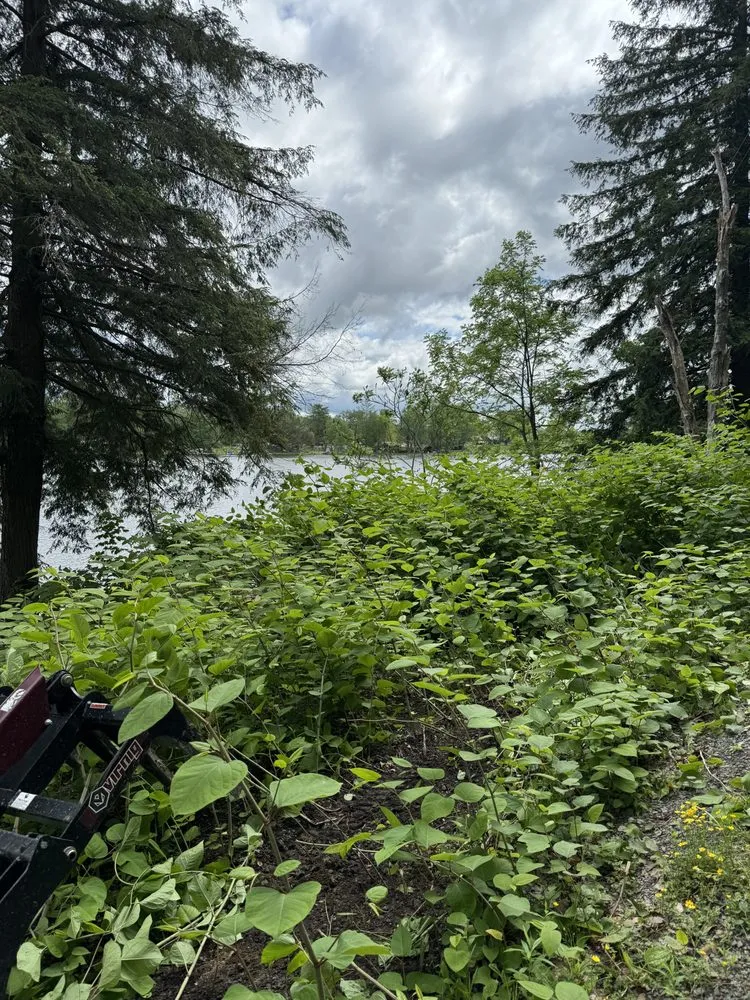 Affordable landscape installation in Greene, NY - Stage’s Seasonal Impact