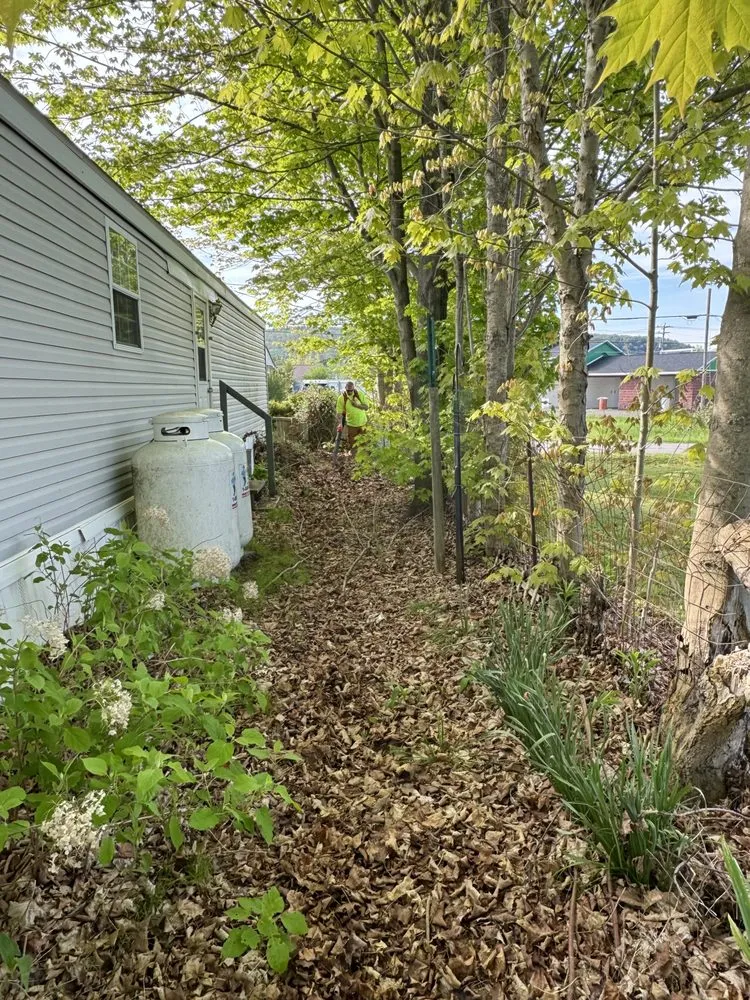 Local landscape design for beautiful yards in Greene, NY by Stage’s Seasonal Impact