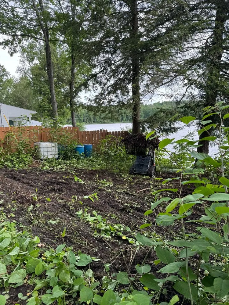 Affordable lawn care service for year-round maintenance in Greene, NY by Stage’s Seasonal Impact