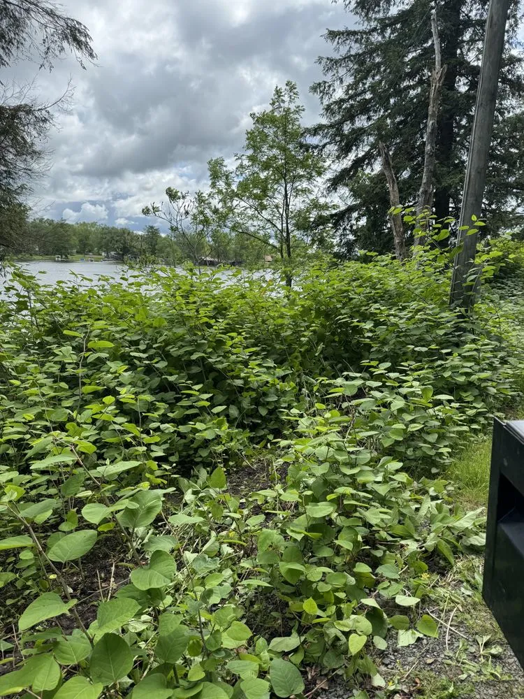 Expert lawn care service in Greene, NY - Stage’s Seasonal Impact