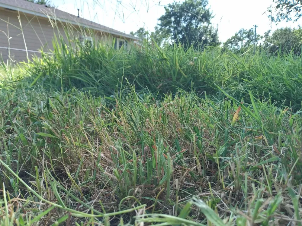 Reliable lawn care service for residential properties across Tulsa, OK - Stagg Lawn Care & Removal