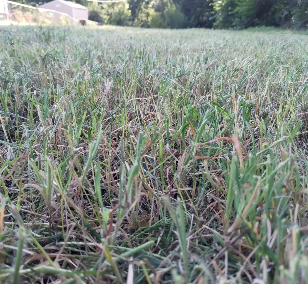 Trusted outdoor landscaping experts serving Tulsa, OK - Stagg Lawn Care & Removal